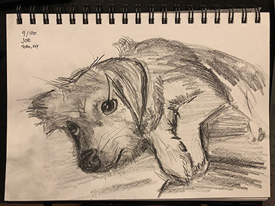 pencil sketch of joe reclining with his head on his paws